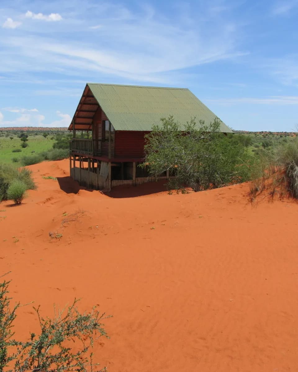 Hout lodge kabin met 'n groen dak op 'n rooi sandduin onder 'n blou hemel