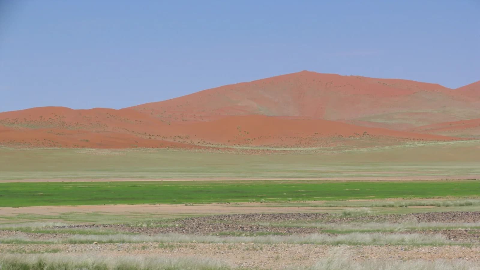 Rote Dünen über einer grünen Schotterebene unter klarem Himmel