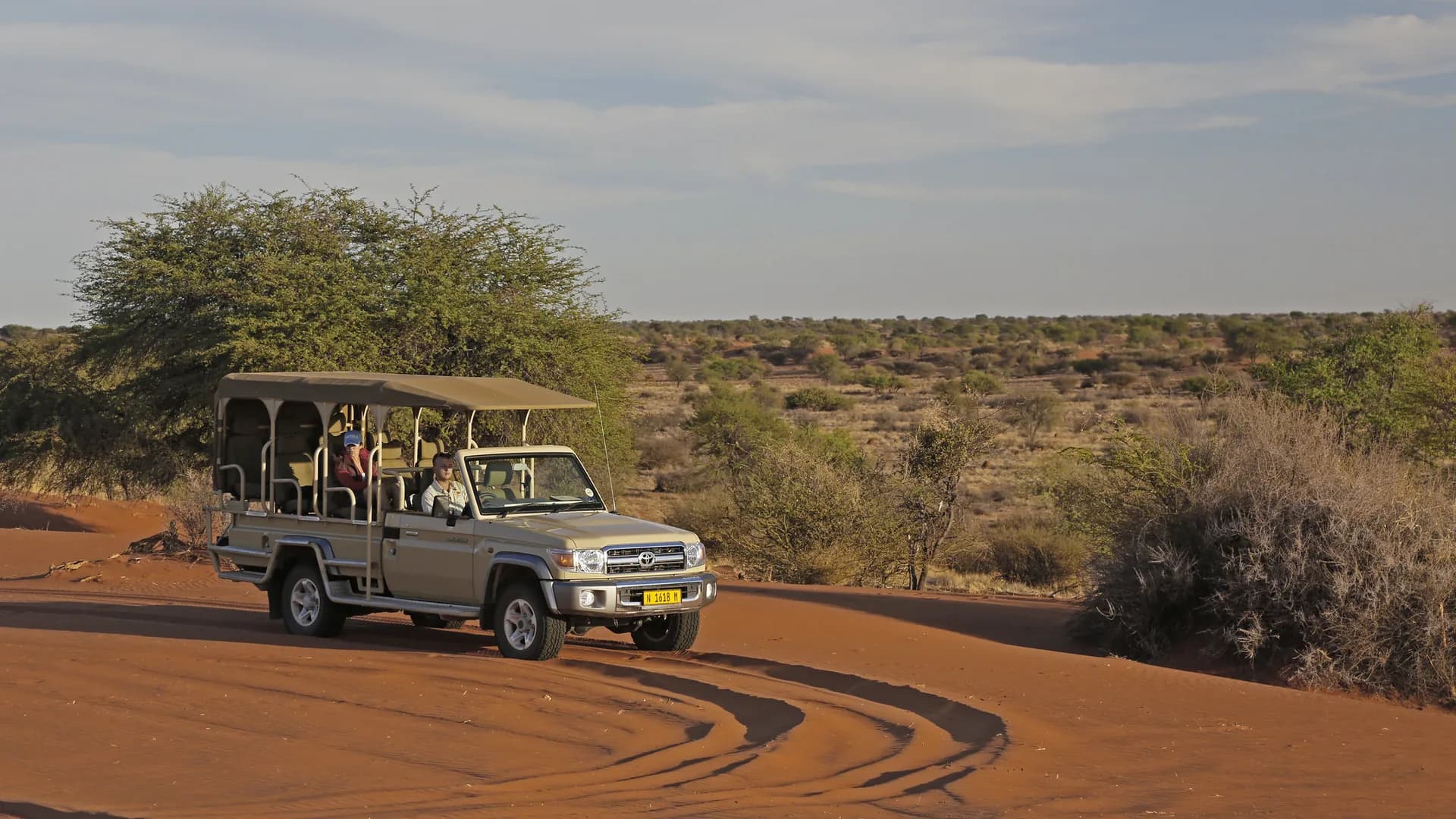 Safari spore oor rooi sand by goue ure